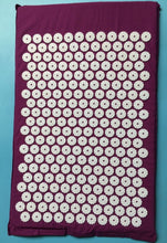 Load image into Gallery viewer, Acupuncture Yoga Cushion &amp; Pillow Muscle Recovery Set
